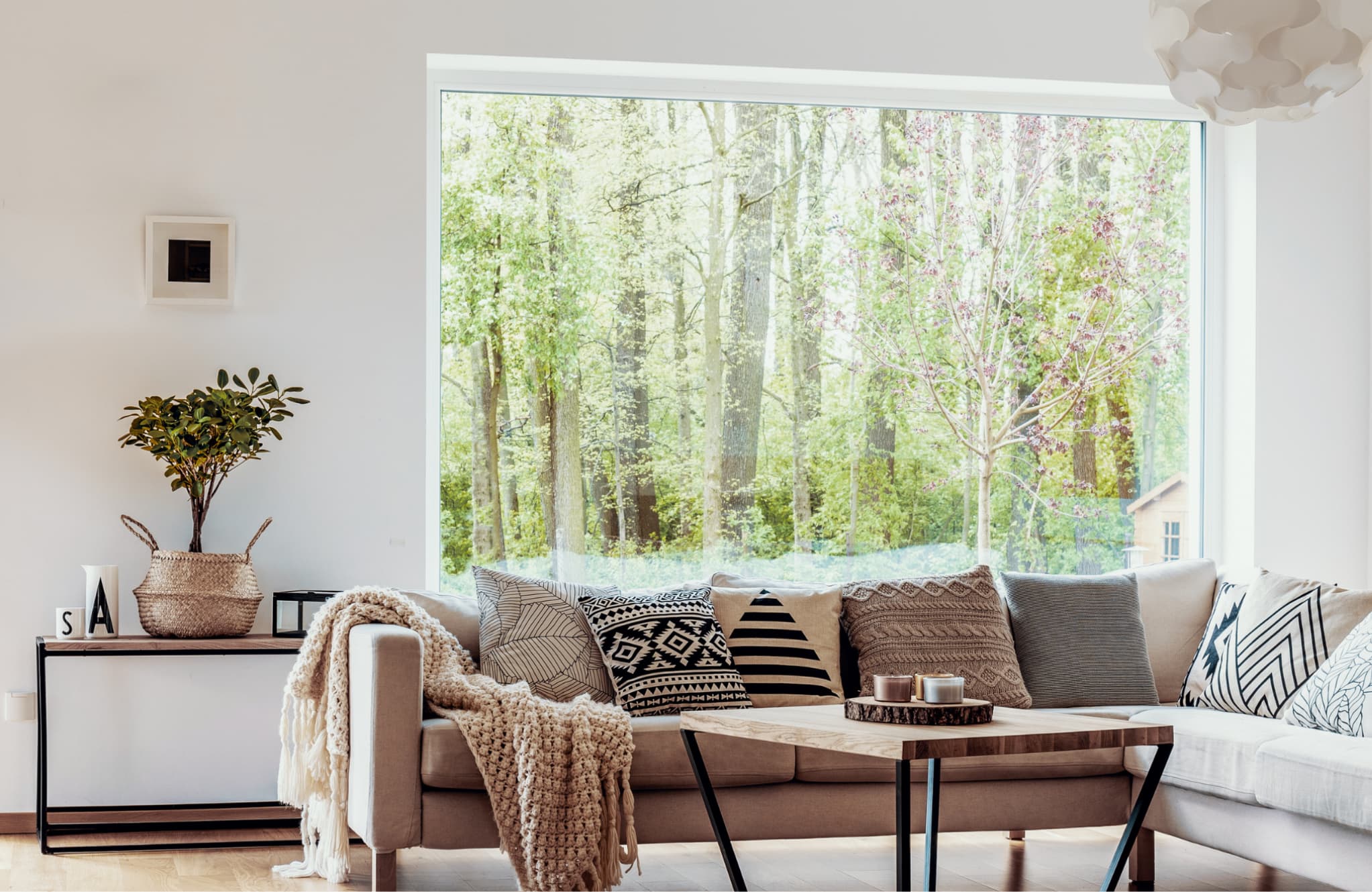 construction / renovation